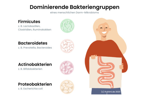 Fruhimide Das Mikrobiom 4904