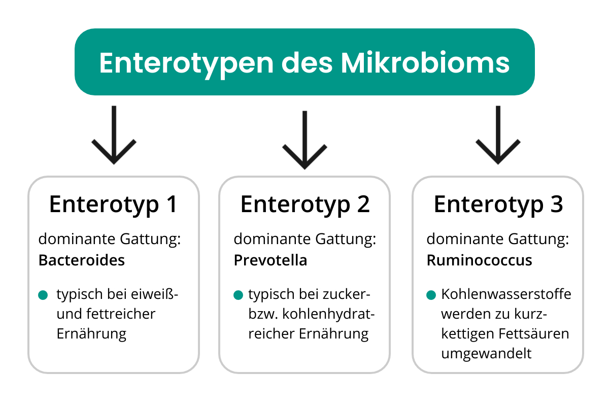 Enterotypen des Mikrobioms