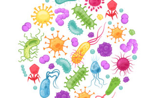 Virom und Mikrobiom