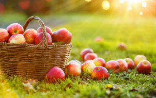 Fructosearme Apfelernte